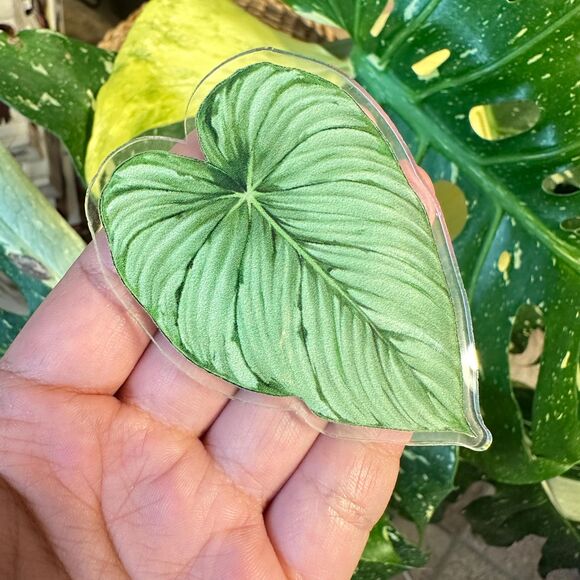 Set of 9 Handmade Anthurium Leaf Resin Fridge Magnets, Tropical Plant Decor - Picture 4 of 10